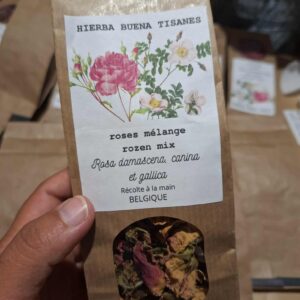 Roses antiennes fleurs